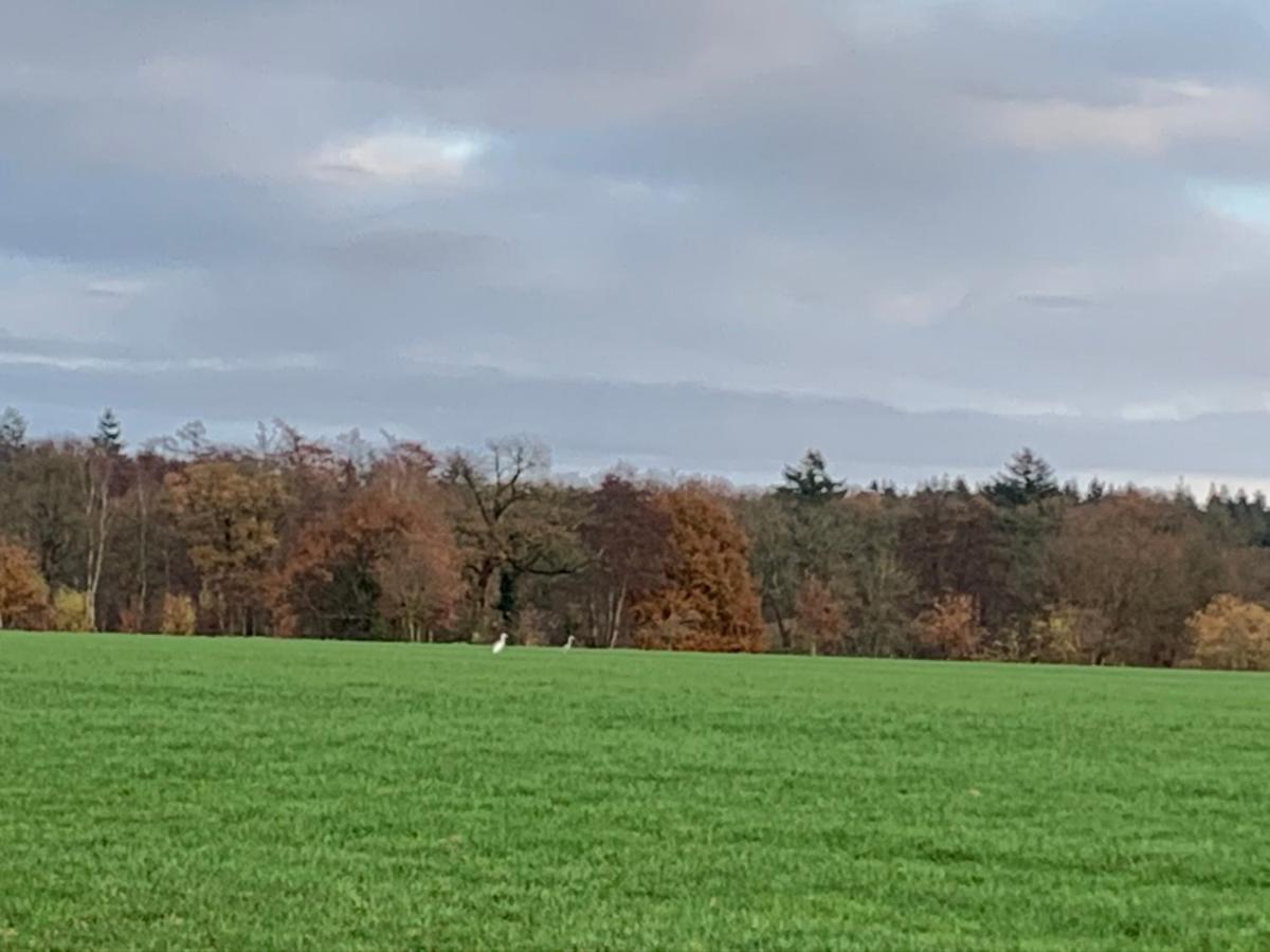 Dinkel Verblijf Denekamp Luaran gambar