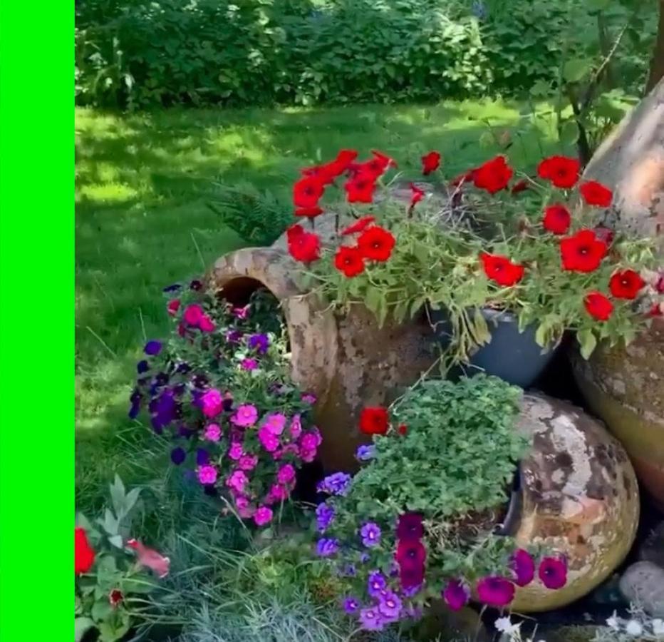 Dinkel Verblijf Denekamp Luaran gambar